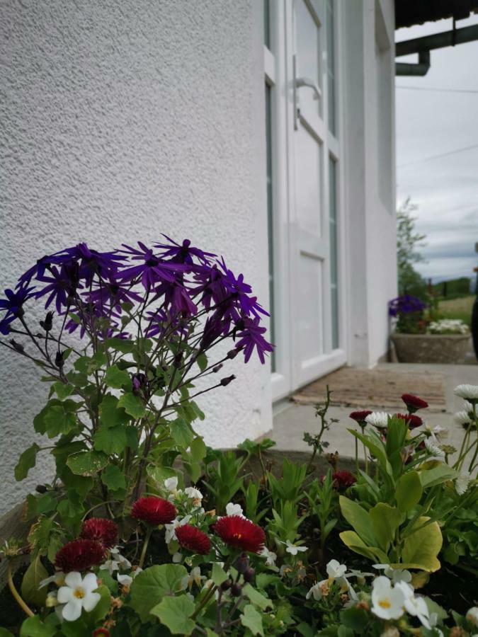 Apartman Katja Rakovica Exterior photo